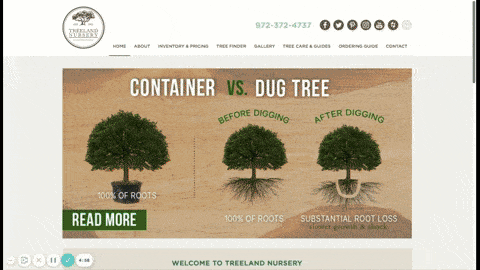 Treeland Nursery website