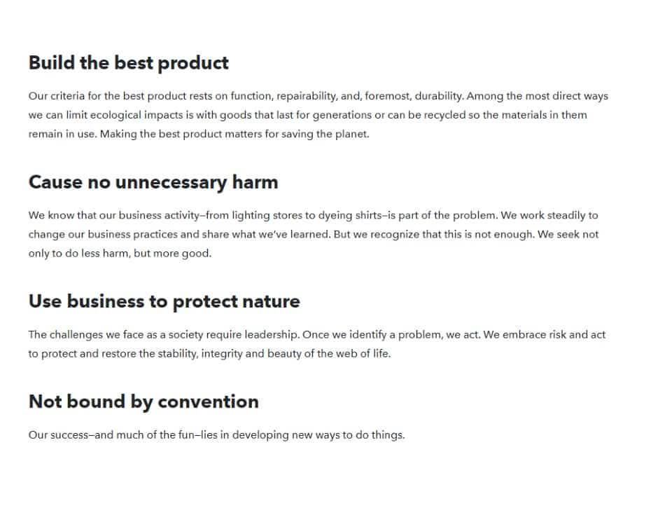 Screenshot of Patagonia Vision Statement