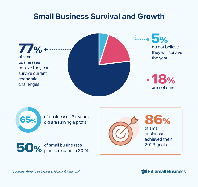 Small Business Survival and Growth infographic