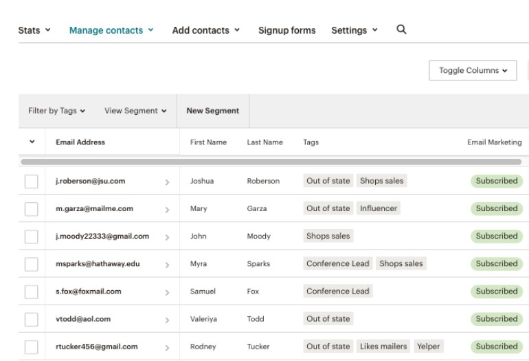 Mailchimp contacts and leads tagging feature