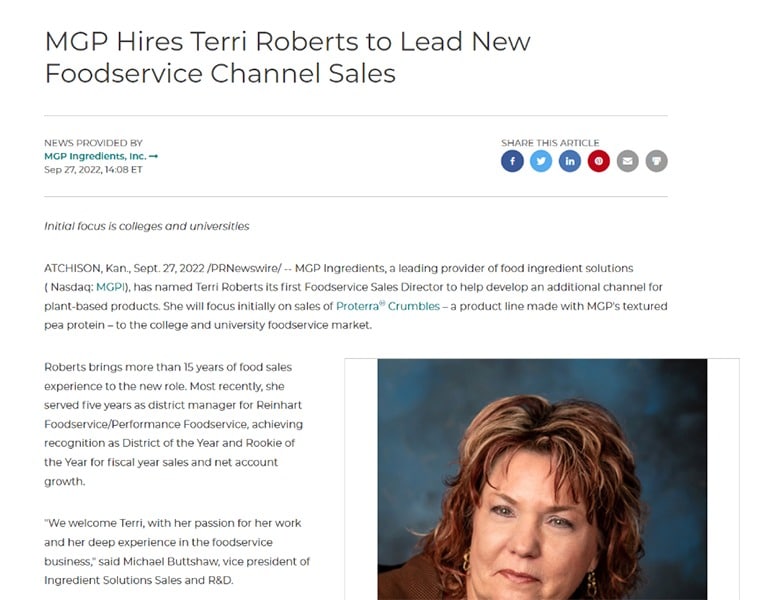 PRNewswire example of press release announcing the hiring of a new CEO.