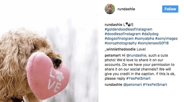 Pet Smart Instagram Post