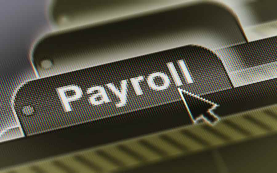 Mouse pointer on Payroll File