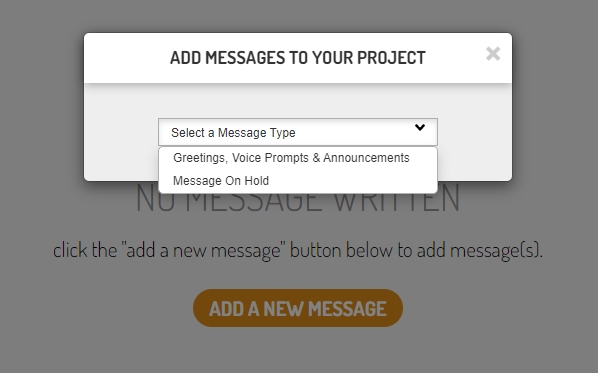 Snap Recordings select the message type for your project.