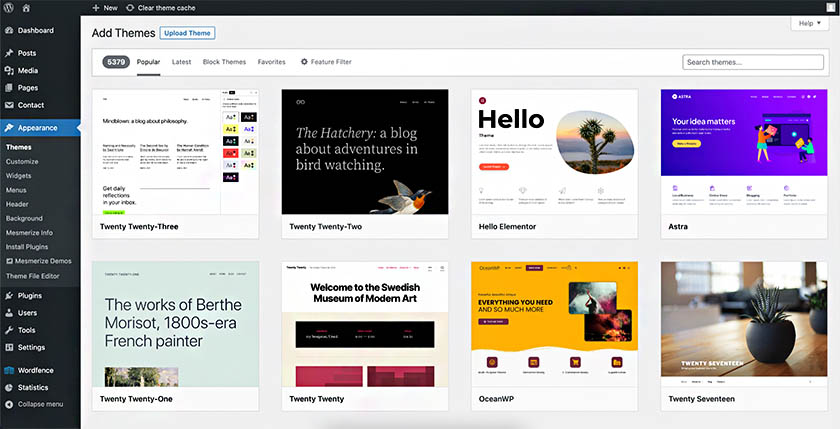The WordPress Add Themes dashboard