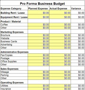 Pro Forma Business Budget