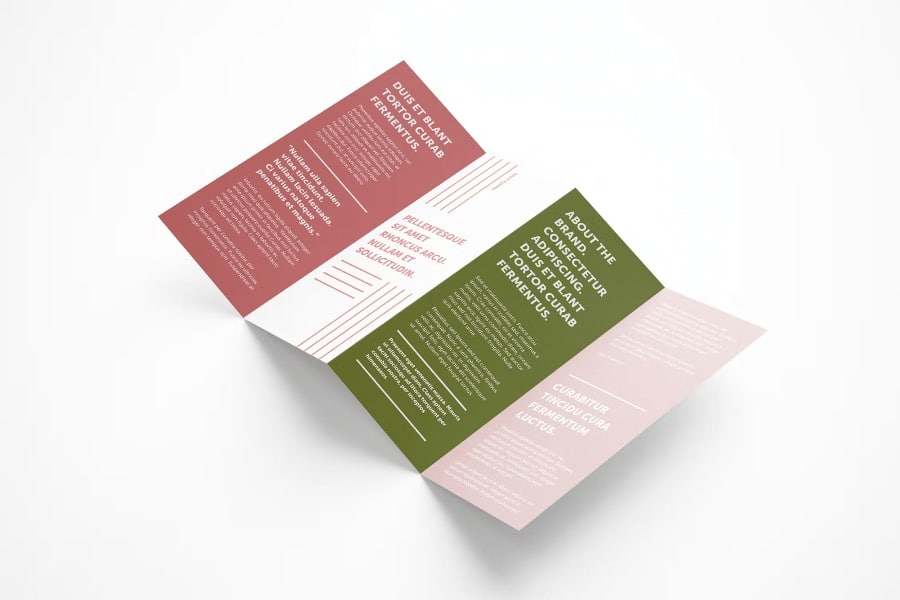 Sample accordion brochure with typography design.