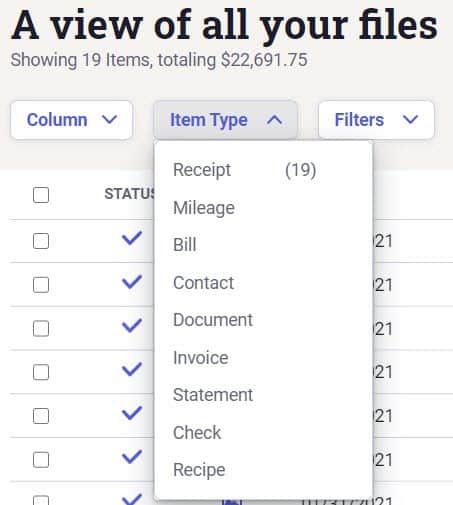 NeatFiles filter items based on item type.