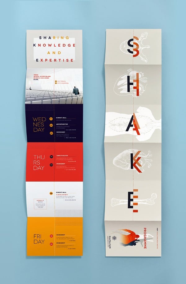 Vertical brochure layout ideas.