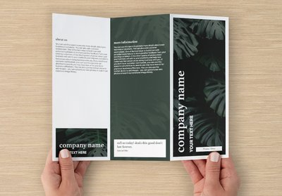 Vistaprint Template Z-fold Brochure