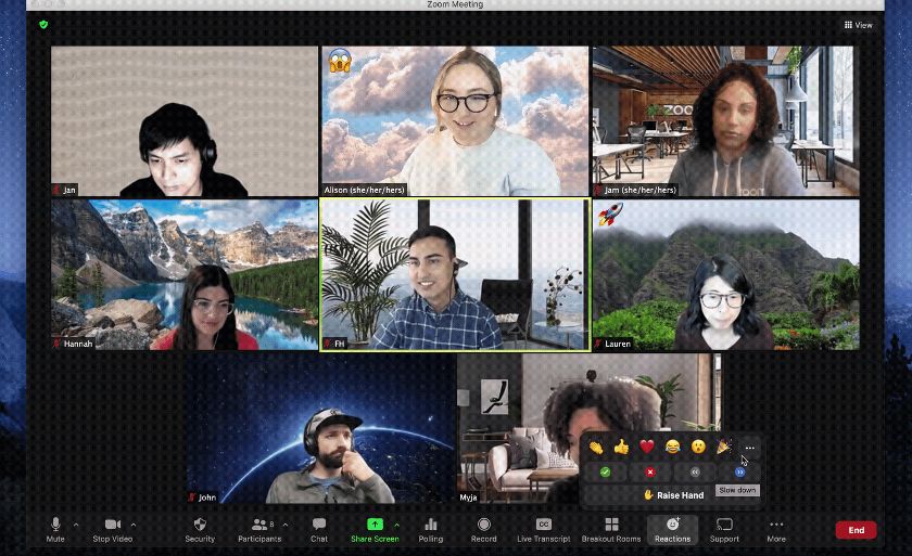 Zoom video conferencing capabilities and supplemental features