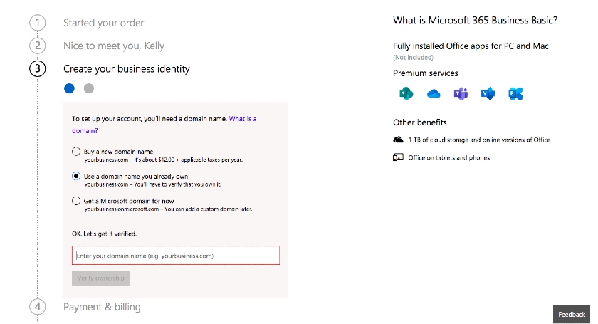 Microsoft 365 Domain Verification Process