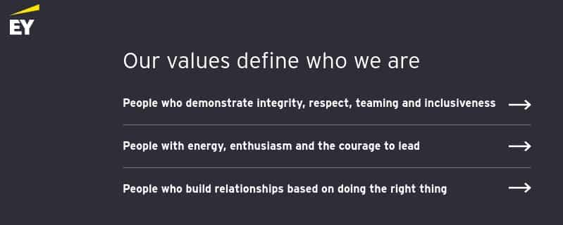 Screenshot of Ernst and Young Values