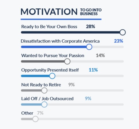 Graph of entrepreneurs' motivations for going into business