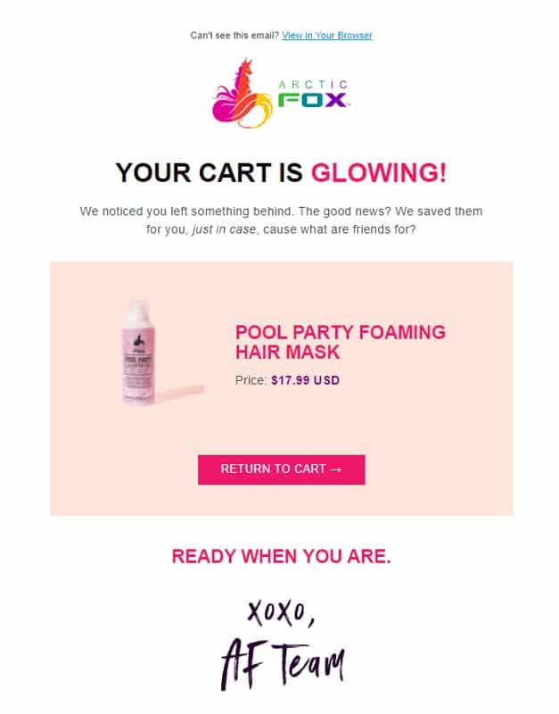A cart abandonment email blast example from Arctic Fox.