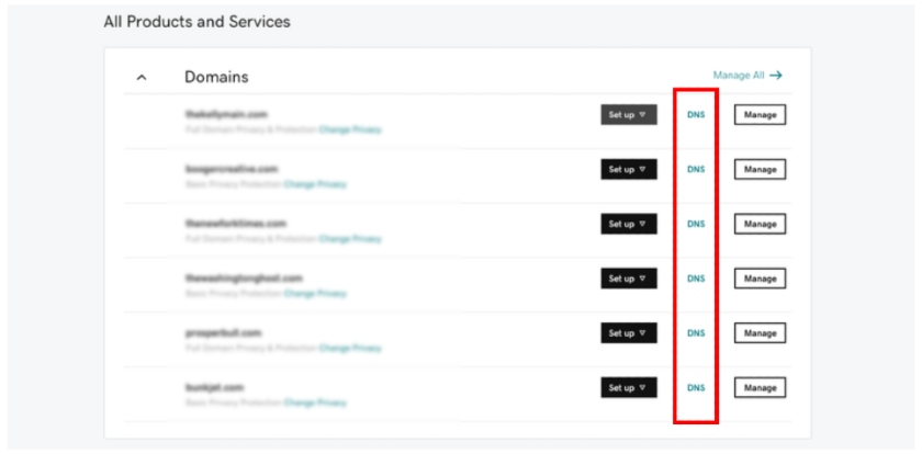 GoDaddy's Domain user panel lists all the domains on your account.