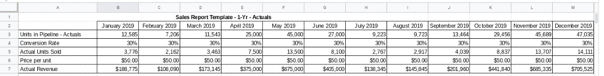 Screenshot of 12 Month Revenue Report Spreadsheet Sample