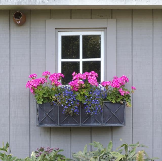Window boxes and free-standing planters