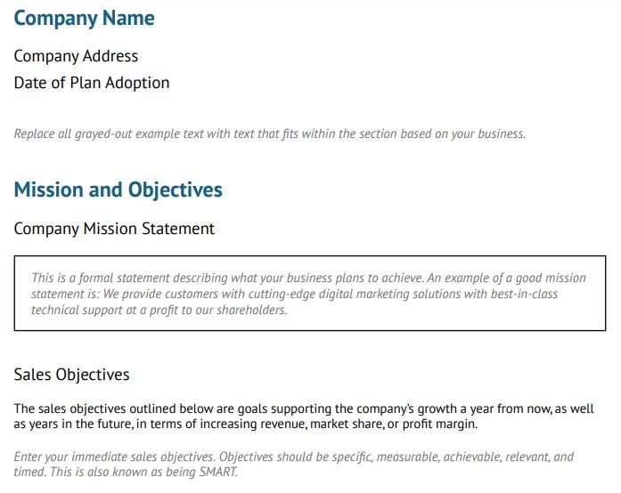 sales section of business plan