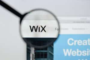 Wix website homepage logo magnifying glass.