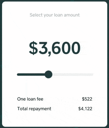 Square providing customized loan offer.