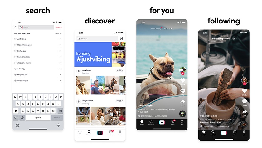 Best way to understand the TikTok app