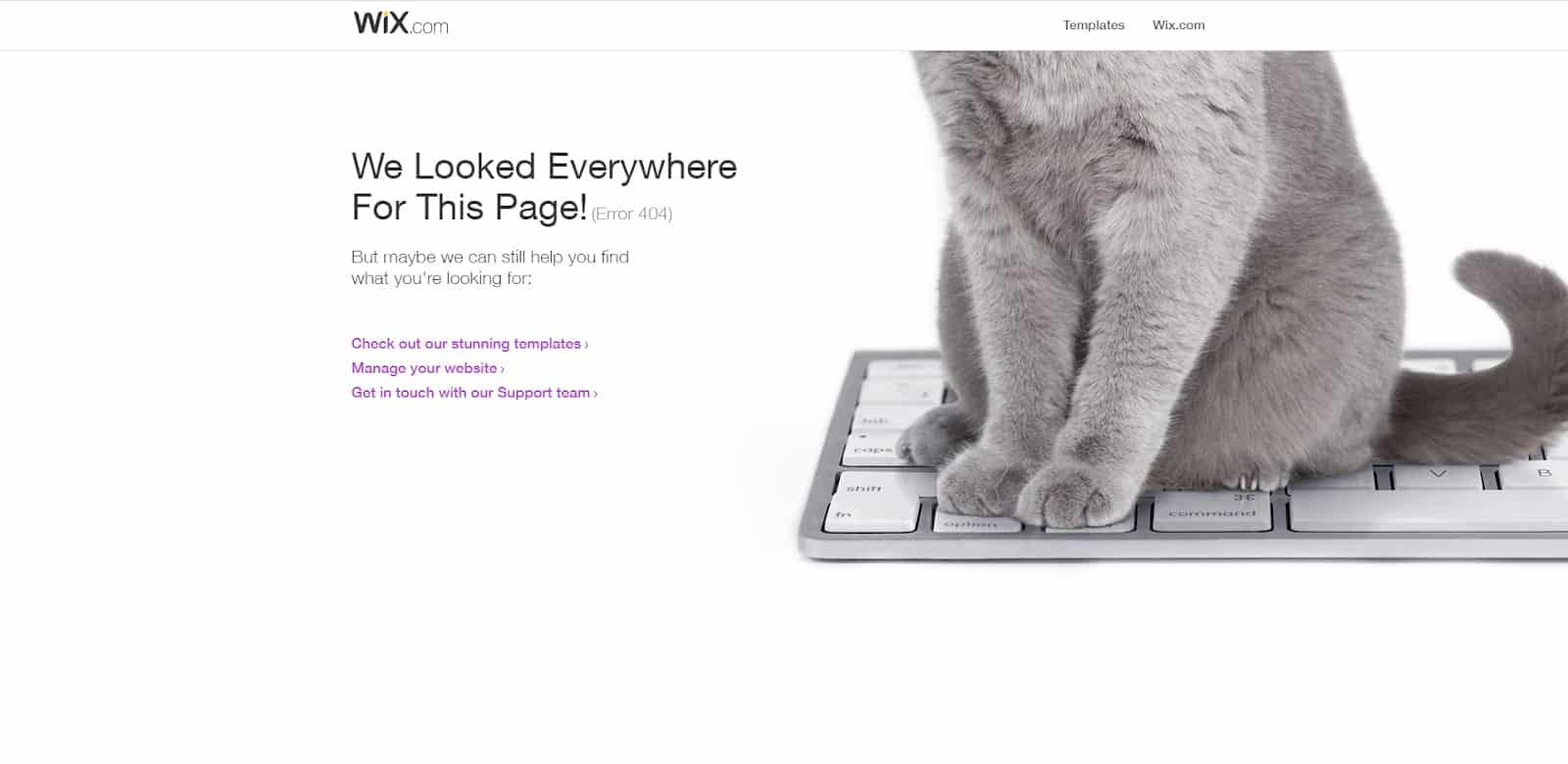 Wix 404 error page.