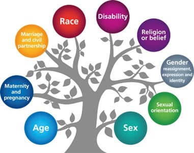 Tree branches in different colors with the seven protected classes in the Fair Housing Act.