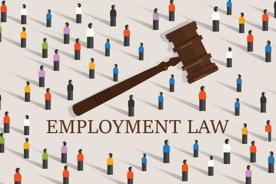 New York Employment Law Updates 2024 - Petra Brigitte