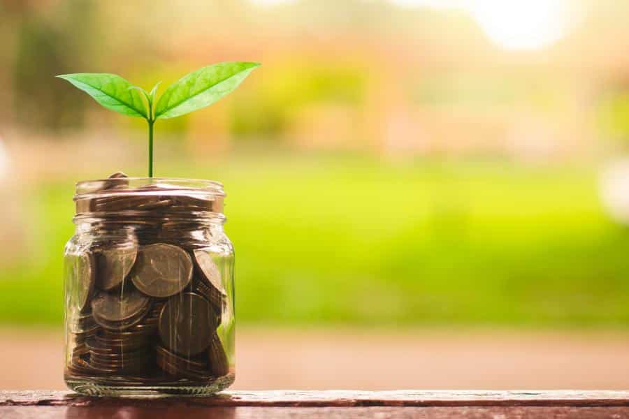 A plant growing on a golden coin inside the jar.