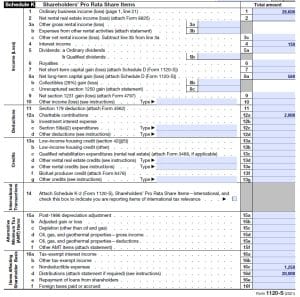 How to Complete Form 1120S & Schedule K-1 (With Sample)