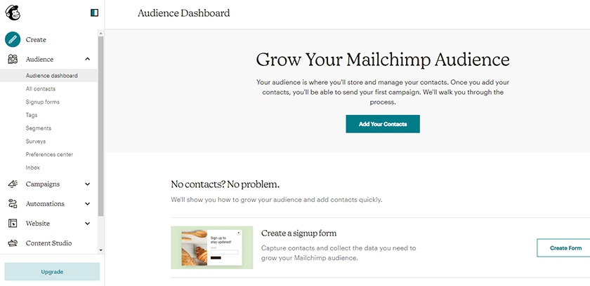 Dashboard of Mailchimp Audience.