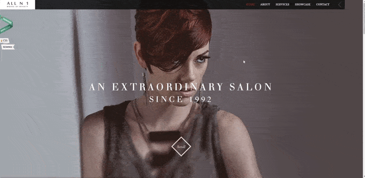 custom wordpress themed one page website by All-N-1 House of Beauty