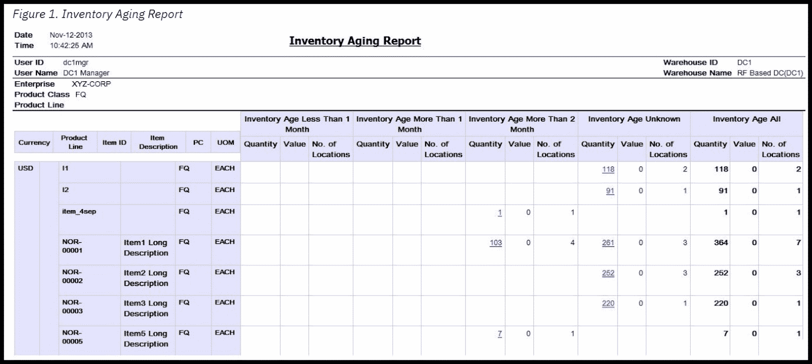 A sample inventory aging report generated in IBM.