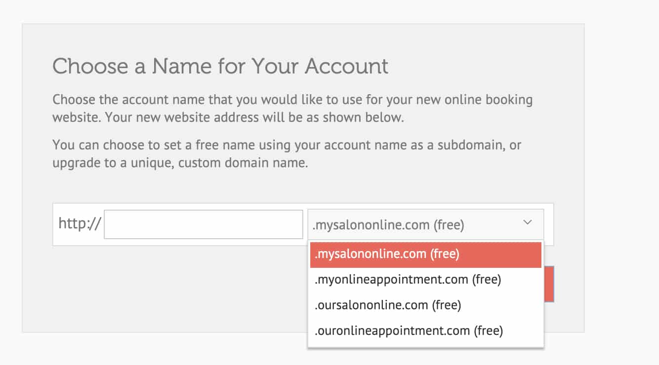 Choosing domain name for DaySmart Salon booking website.