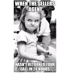 Seller's agent frustration meme