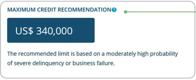 An example of a maximum credit recommendation included in the risk assessment section.