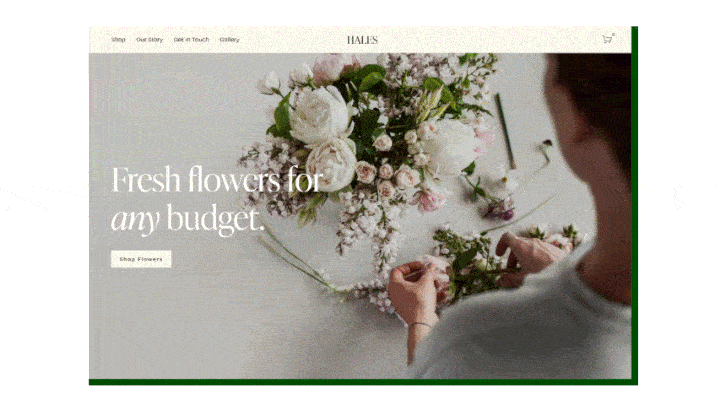 Squarespace modern and sleek templates example