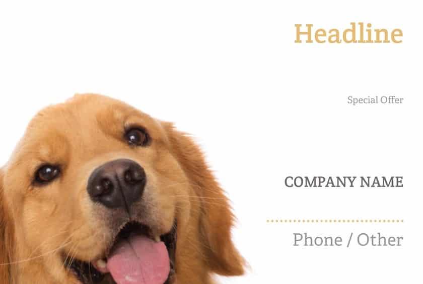 Vistaprint direct mail designs with cute dog