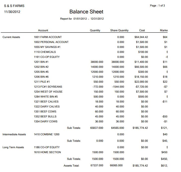 EasyFarm sample Balance Sheet.