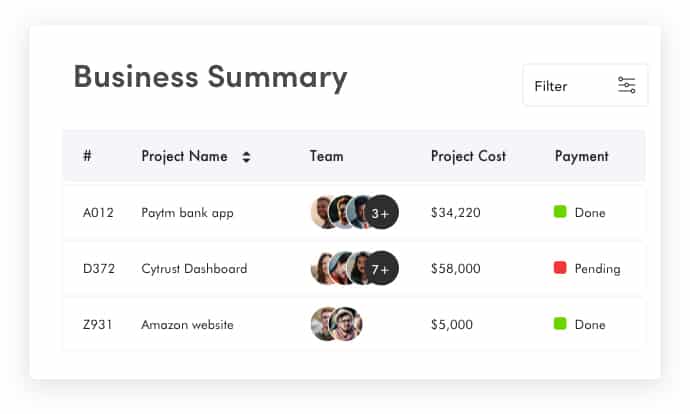 Screenshot of FinancePal's Business Summary page that show project name, team, project cost, and payment.