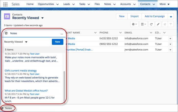 Salesforce lead profile recently viewed notes