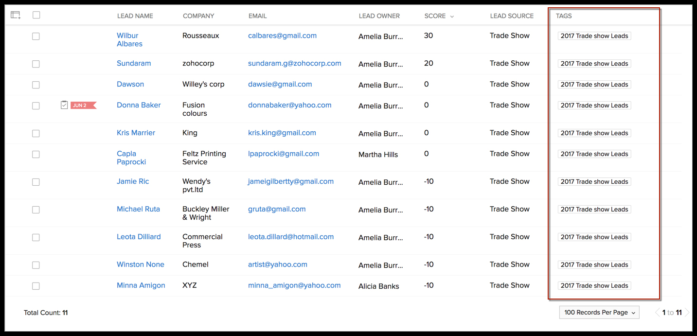 Sample list of leads with information tags from Zoho CRM.