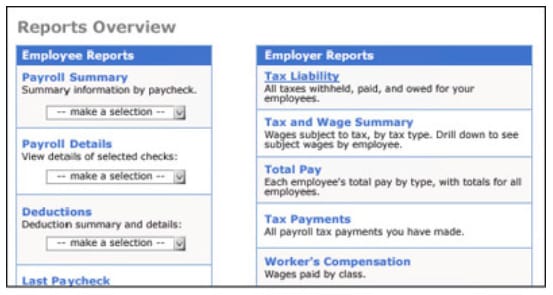 Savvy Nanny's reports overview page.