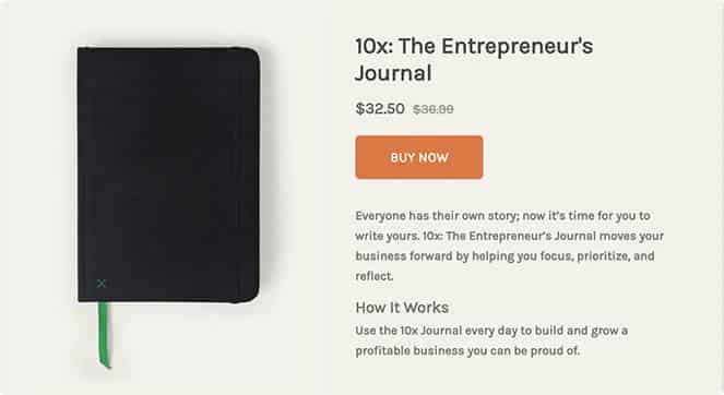 Savvy Nanny 10x The Entrepreneurs Journal sample product.