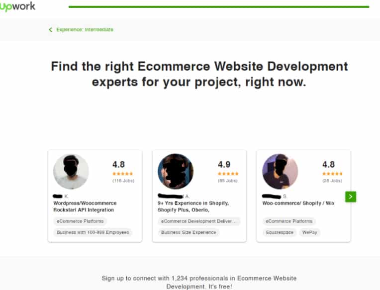 Upwork sample ecommerce website developers freelancers.