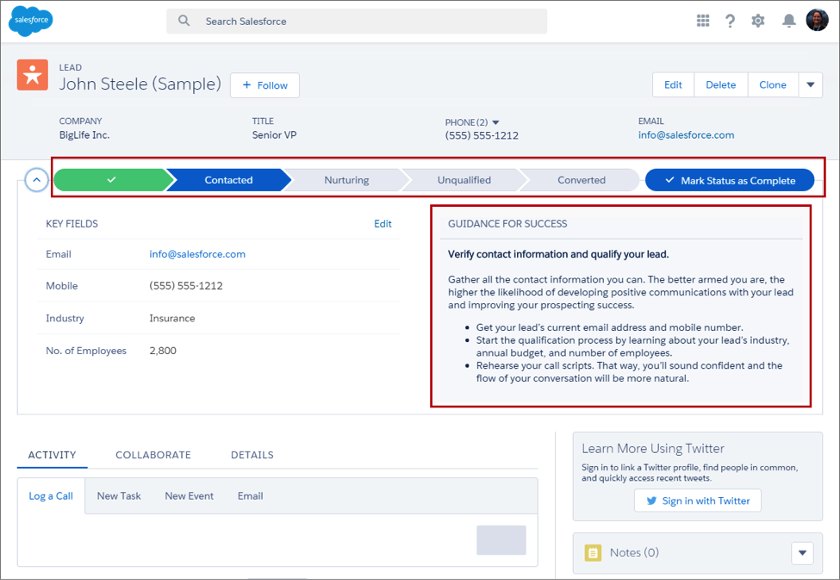 Showing a Salesforce lead profile.