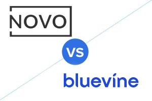 Novo vs Bluevine logo.