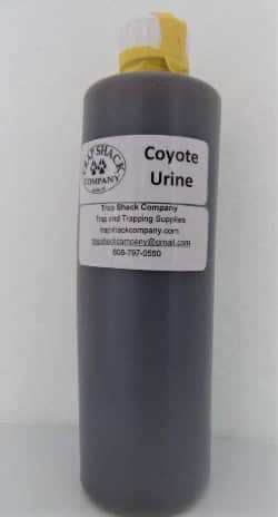 Coyote urine.
