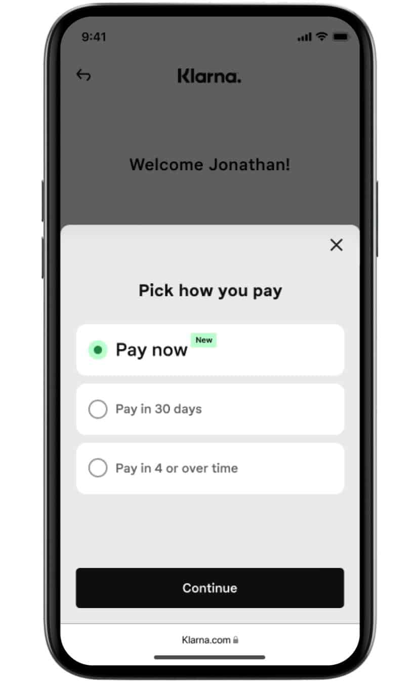 2022 Klarna Review Is It Right for Your Business?
